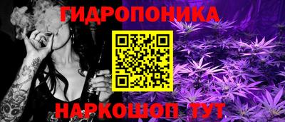 мет Кимры