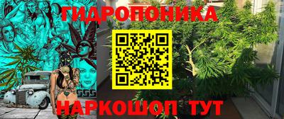 PSILOCYBIN Кинель