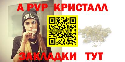 эйфоретик Кингисепп
