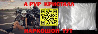 эйфоретик Кингисепп